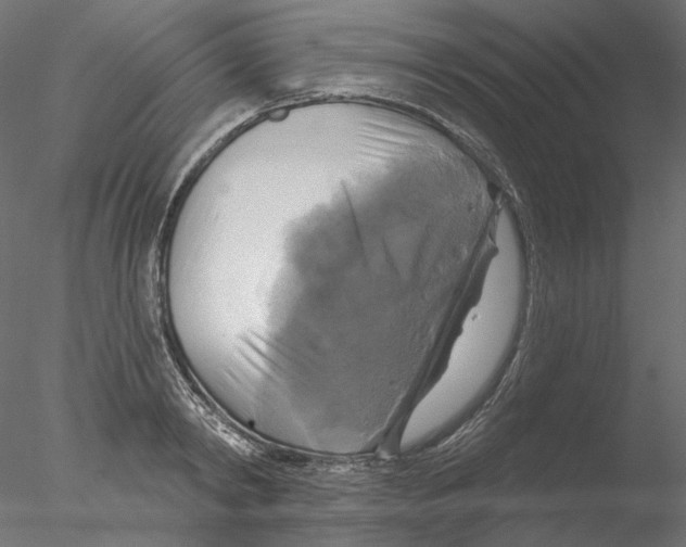 X0000076380798200611031628