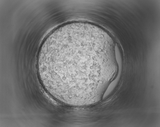 X0000076380799200611031628