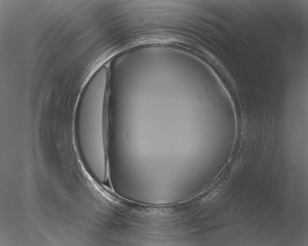 X0000076380802200611031628