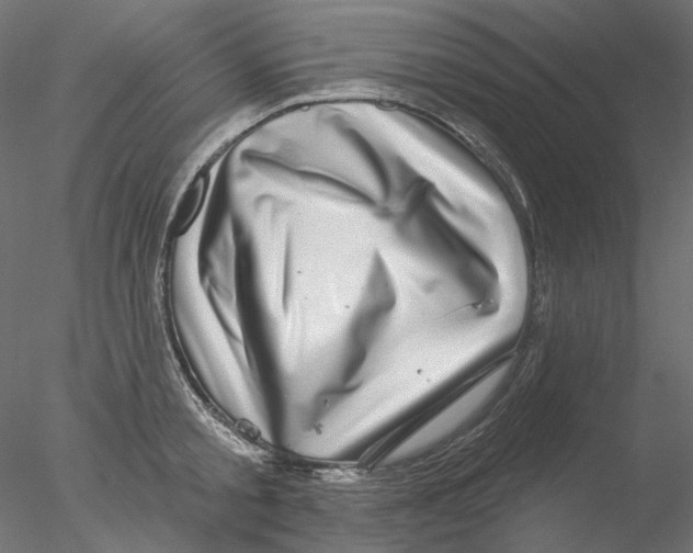 X0000076380805200611031628