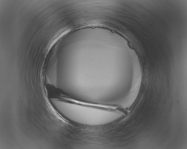 X0000076380806200611031628