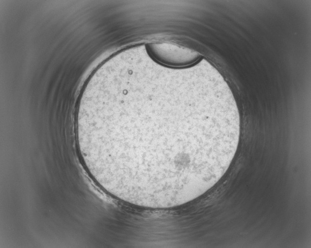 X0000076380808200611031628