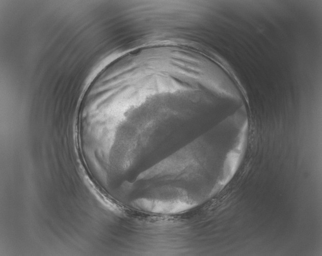 X0000076380811200611031628