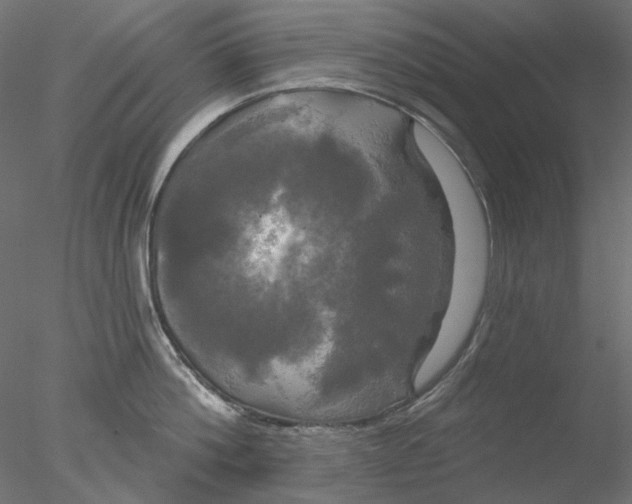 X0000076380812200611031628