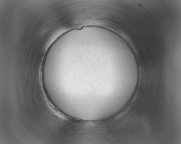 X0000076380814200611031628