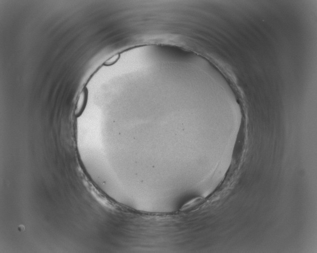 X0000076380816200611031628