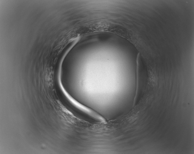 X0000076380818200611031627