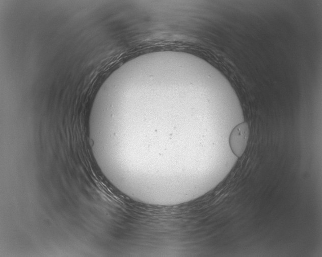 X0000076380820200611031627