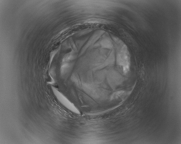 X0000076380821200611031627