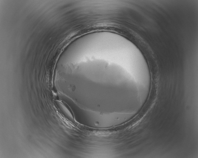 X0000076380825200611031627