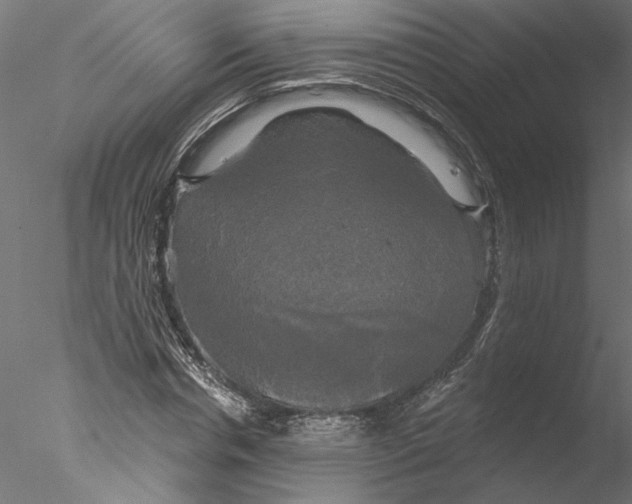 X0000076380826200611031627