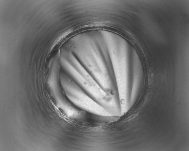 X0000076380827200611031627