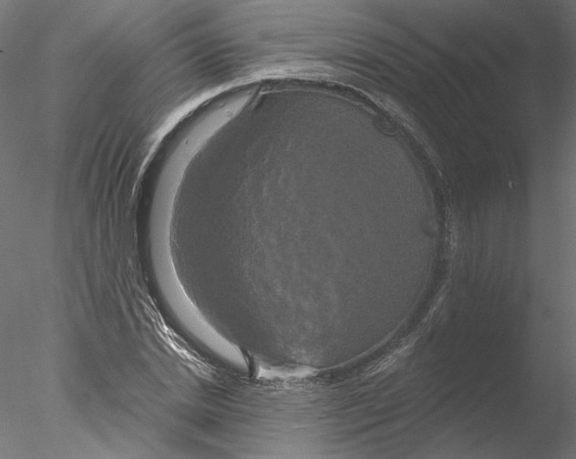 X0000076380830200611031627