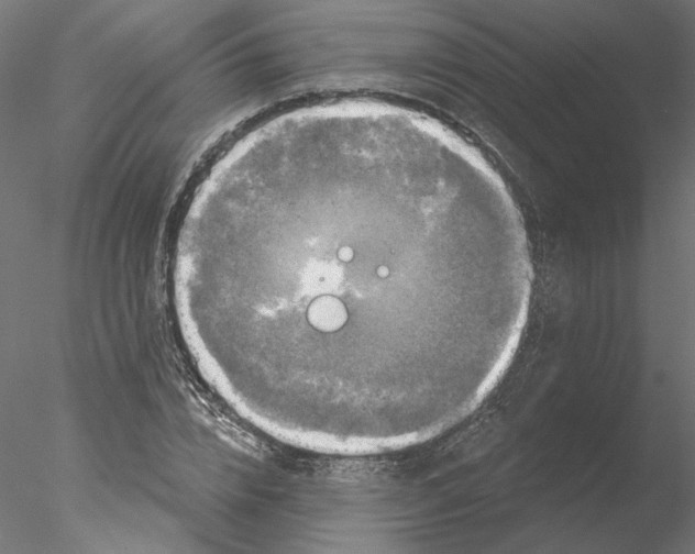 X0000076380832200611031627