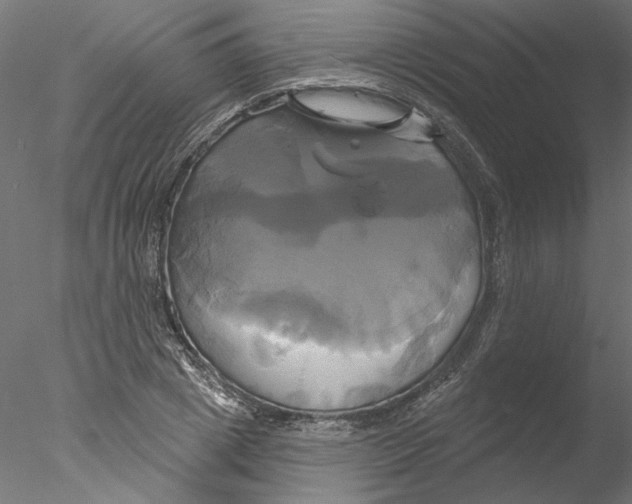 X0000076380833200611031627