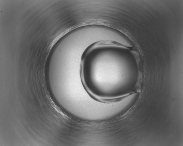 X0000076380834200611031627