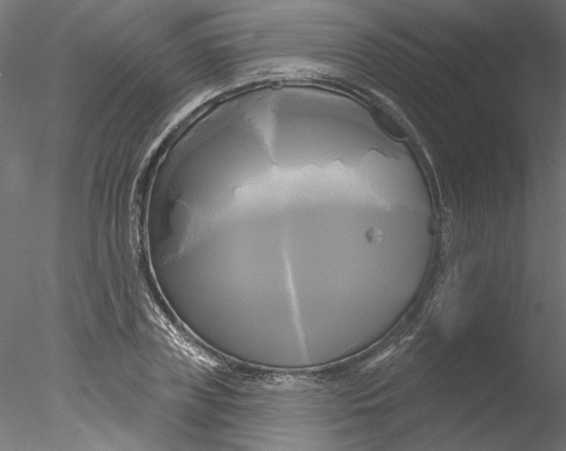 X0000076380835200611031627