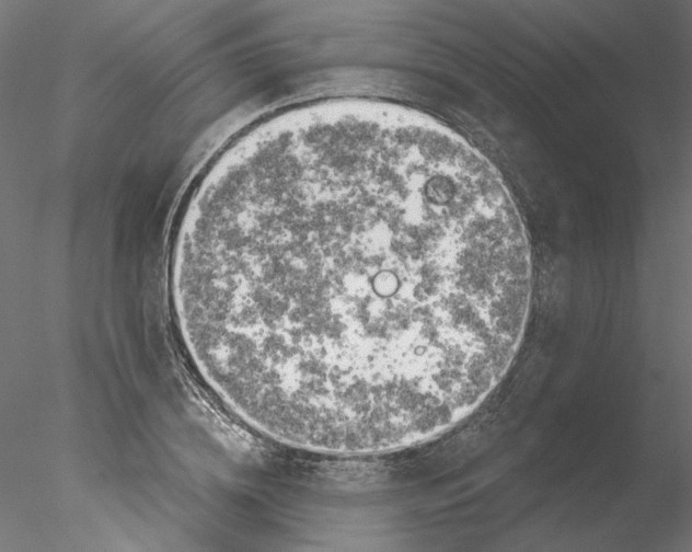 X0000076380836200611031627