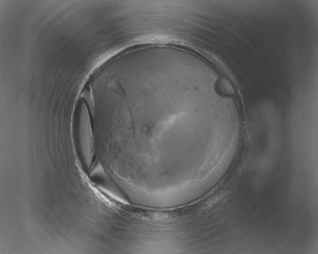 X0000076380839200611031627