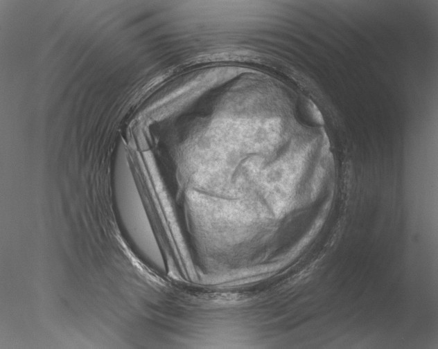 X0000076380841200611031627