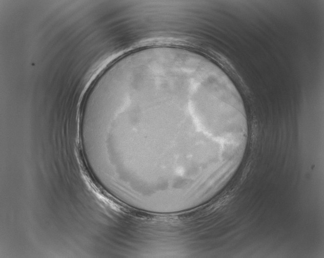 X0000076380844200611031627