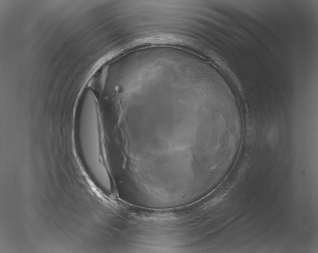 X0000076380845200611031627