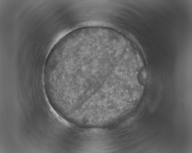 X0000076380847200611031627