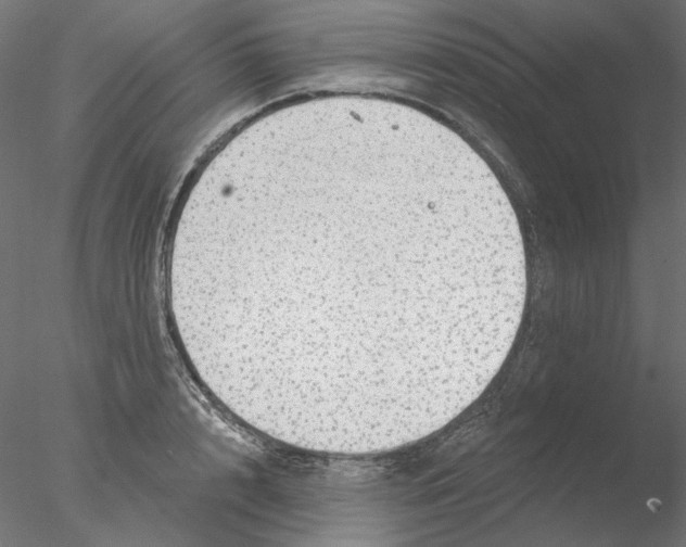 X0000076380848200611031627