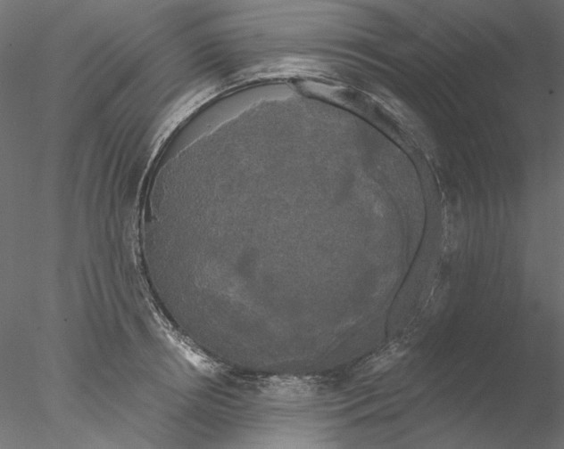 X0000076380850200611031627