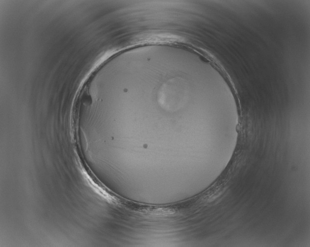 X0000076380851200611031627