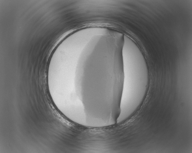 X0000076380852200611031627