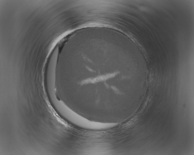 X0000076380854200611031627