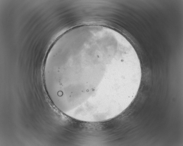 X0000076380856200611031627