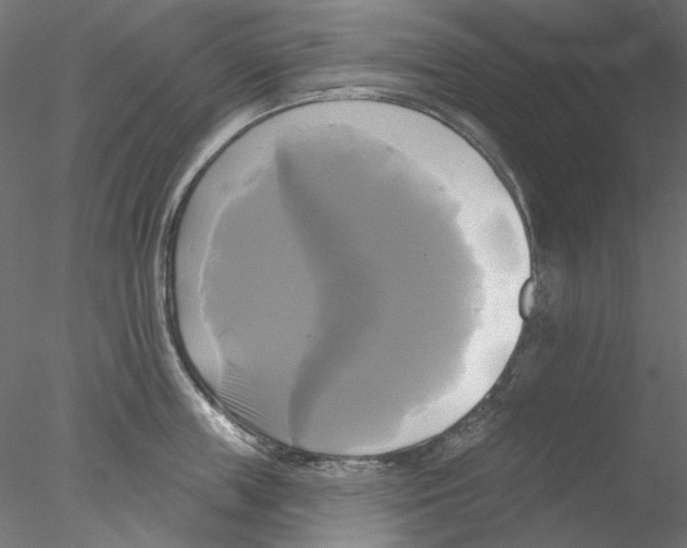 X0000076380859200611031628