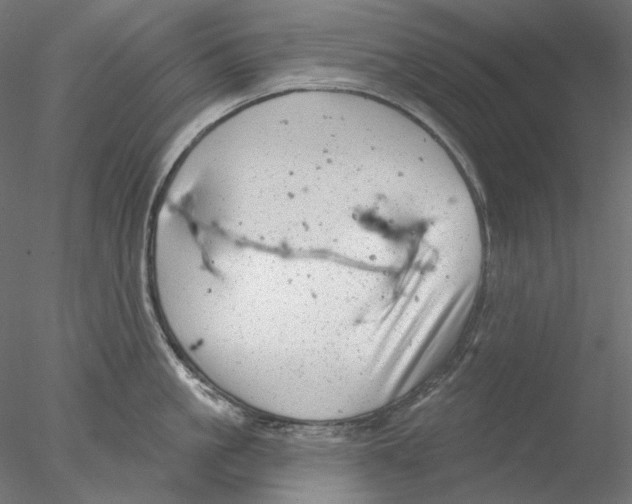 X0000076380861200611031628