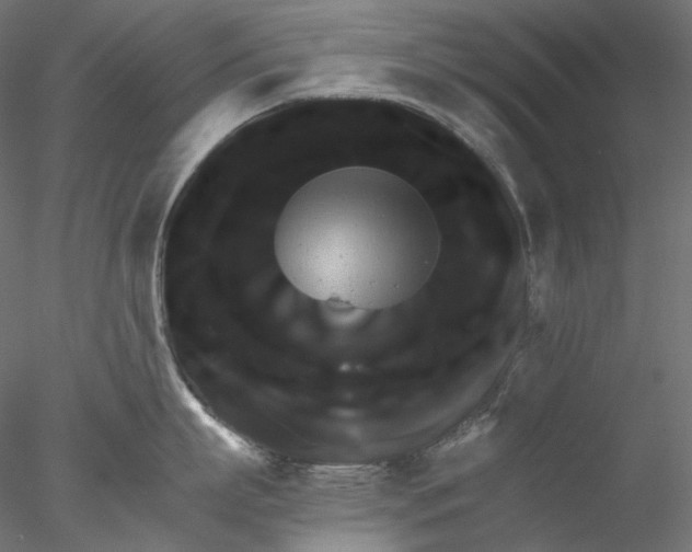 X0000076380863200611031628