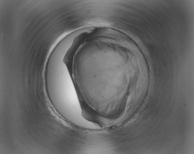 X0000076380864200611031628