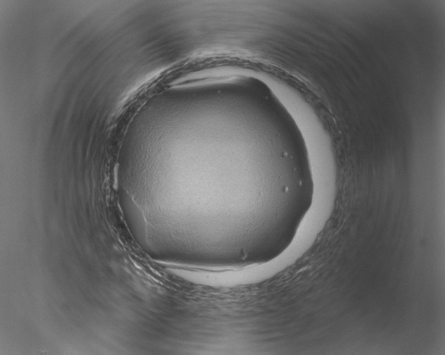 X0000076380872200611031627