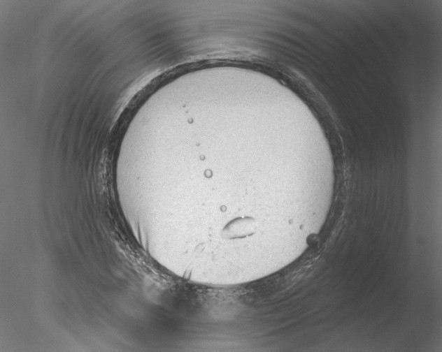 X0000076380875200611031627