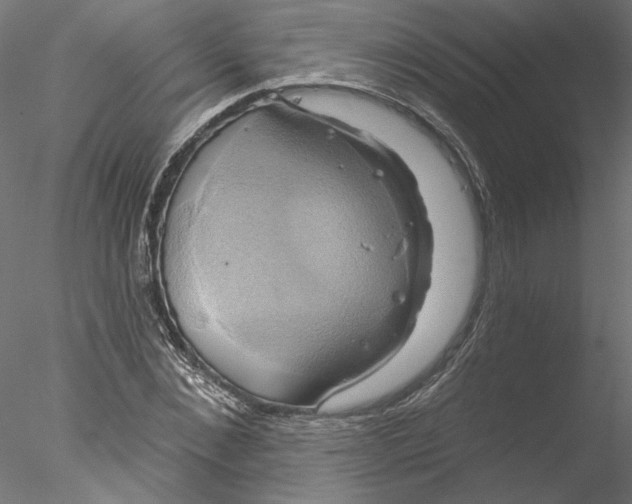 X0000076380876200611031627