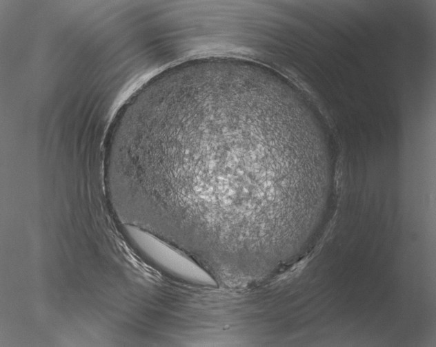 X0000076380877200611031627