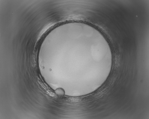 X0000076380878200611031627