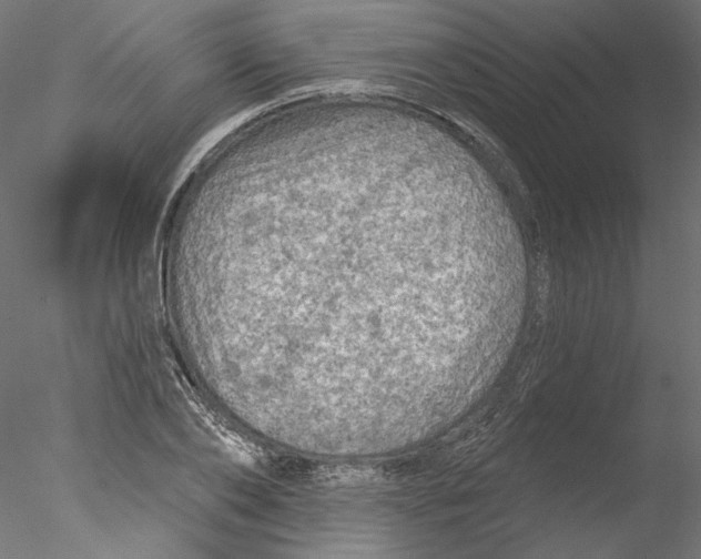 X0000076380886200611031626