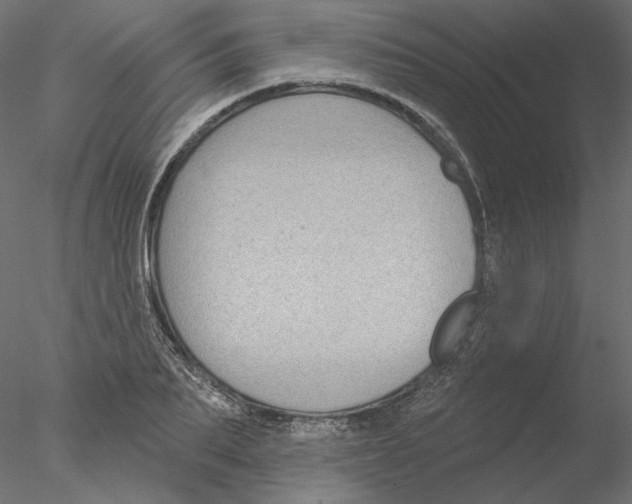 X0000076380887200611031626