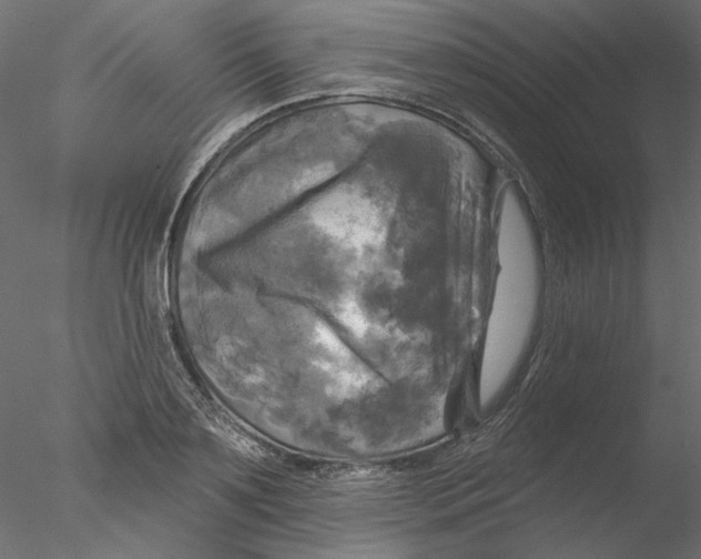 X0000076380891200611031626