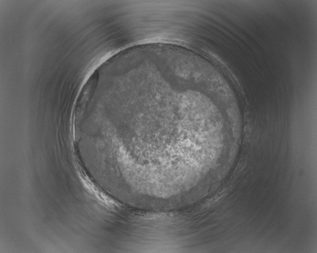 X0000076380892200611031626