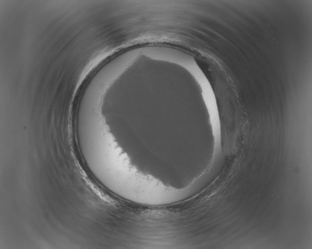 X0000076380894200611031626