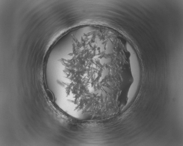 X0000076380896200611031626