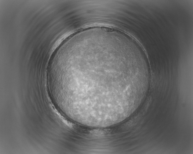 X0000076380898200611031626