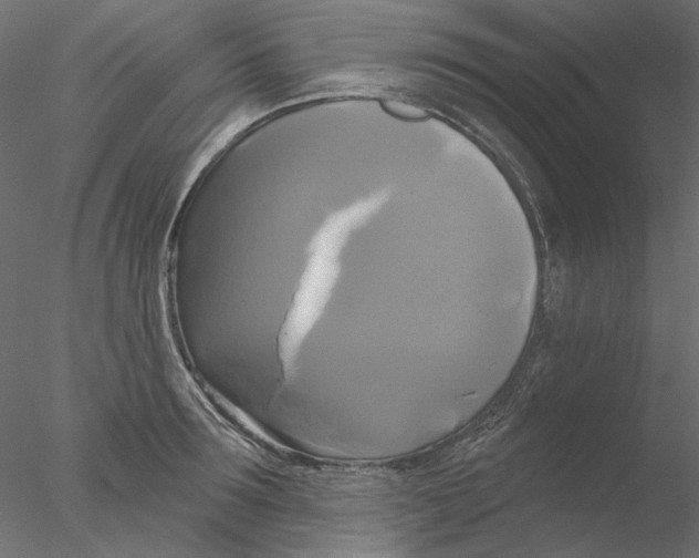 X0000076380899200611031626